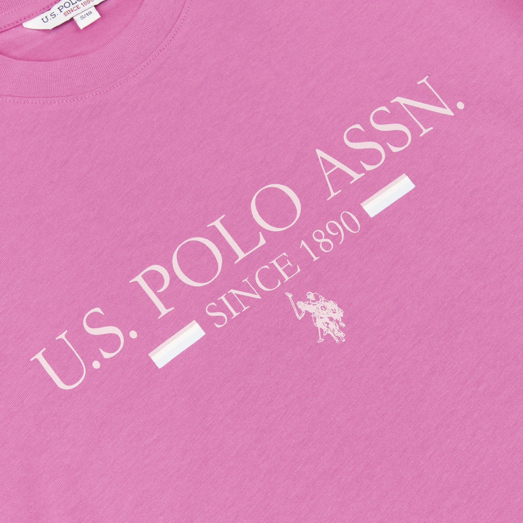 Womens Cropped USPA Logo T-Shirt in Cone Flower